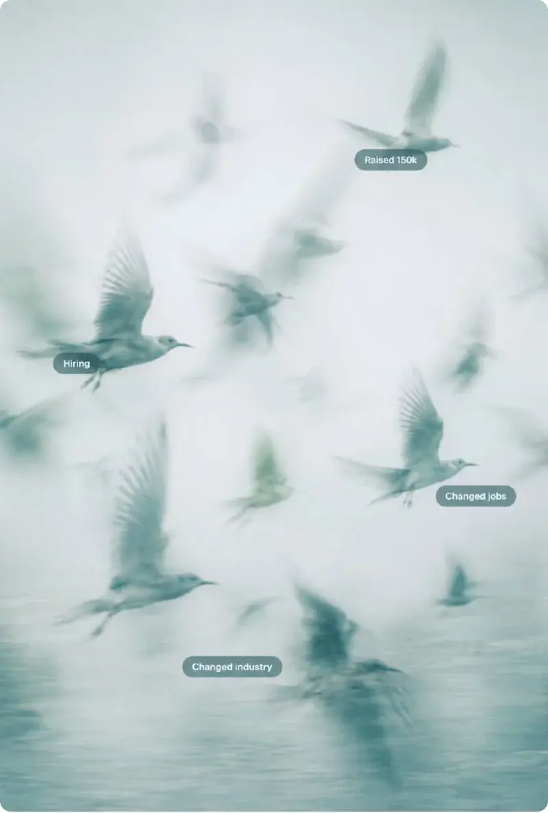 Birds in motion tagged with job change and funding updates.